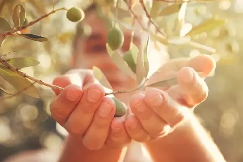 A person admiring a plant.