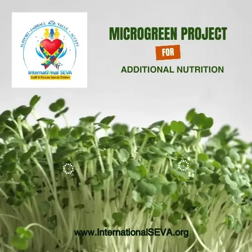 Help Fundraise For Microgreens Project