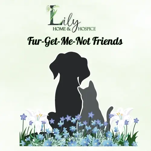 Pet Companions to Visit Hospice Patients in Chippewa Falls