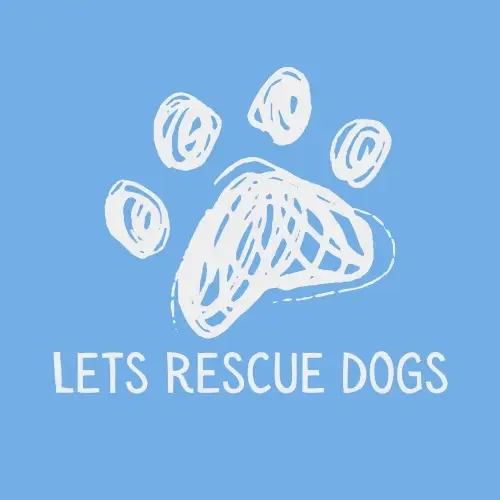 Foster Dog Liaison Internship