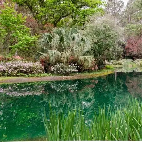 Garden Volunteer (year-round)