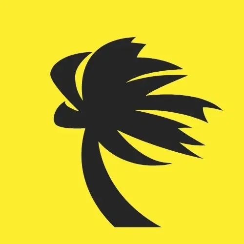 Project Management Volunteer