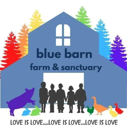 Blue Barn Board Member