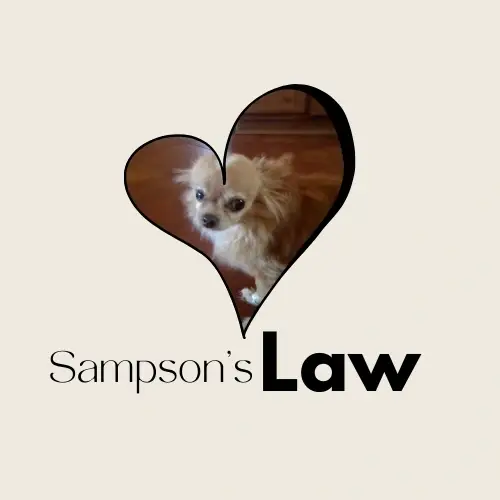 Calling all college students for our amazing Youth4Animals internship opportunity!