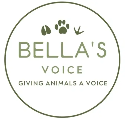 Help Pets & Families with Bella’s Voice Pet Food Bank