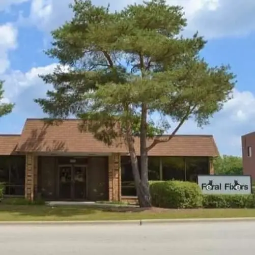 Marketing/Media Help