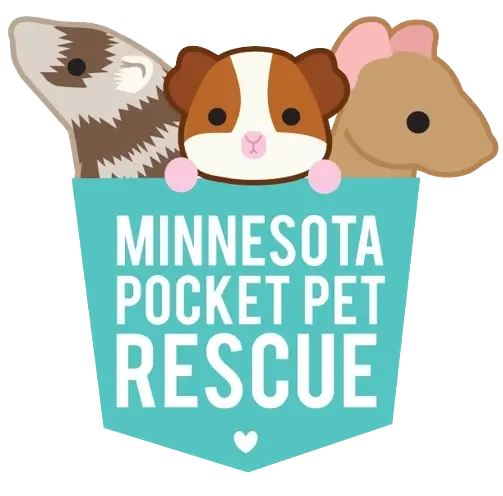  Volunteer Opportunities at the MN Pocket Pet Rescue! 