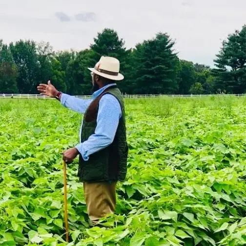 Nubian Square Farmers Market FRIDAY AFTER THANKSGIVING EVENT