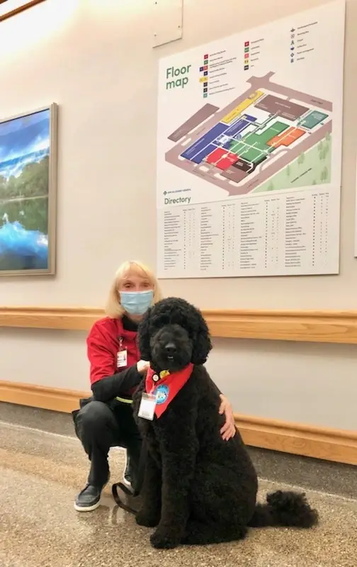 Pet Therapy Volunteer - AHN Cancer Institute - Peters Township Health + Wellness Pavilion