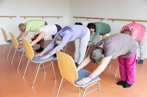Chair Yoga or Zumba Instructor