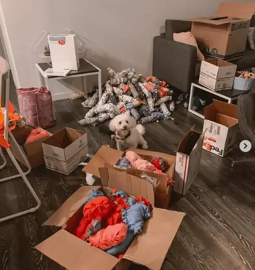 Help shelter animals from home!