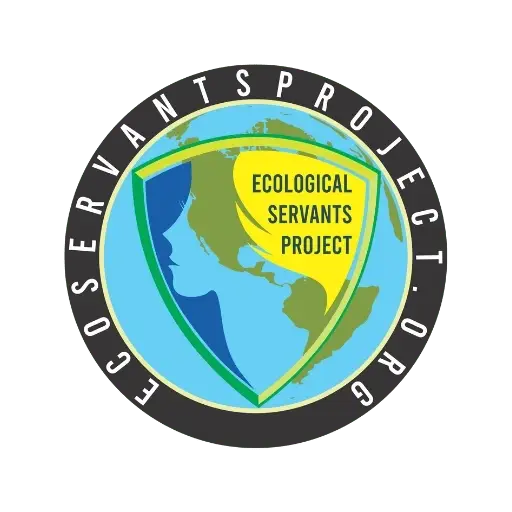 Data Entry Internship (Remote/Hybrid)