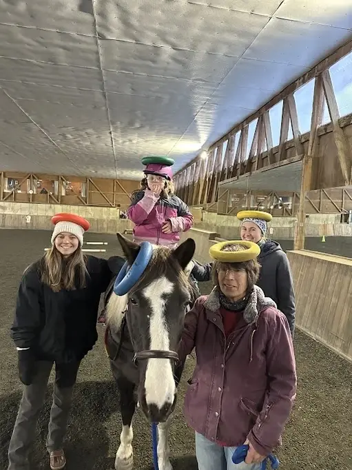 Volunteer With Us at High Horses