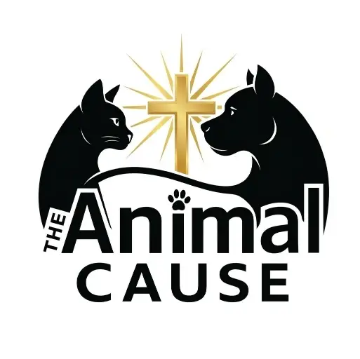 Animal Welfare Nonprofit Volunteer Internship Opportunity