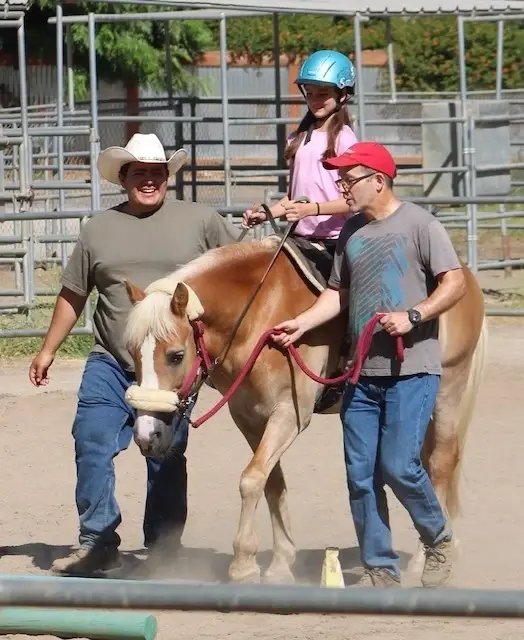 Program and Lesson Assistant for Therapeutic Horseback Riding Program