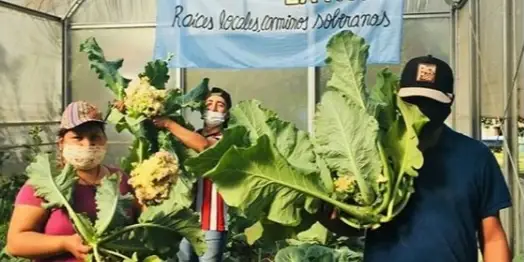 Agroecological community in Buenos Aires
