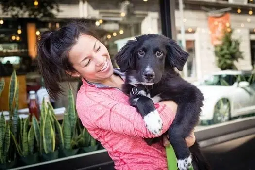 Foster Team Coordinator - NY