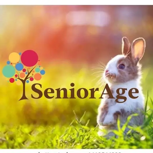 Tax Counseling (Monett Senior Center)