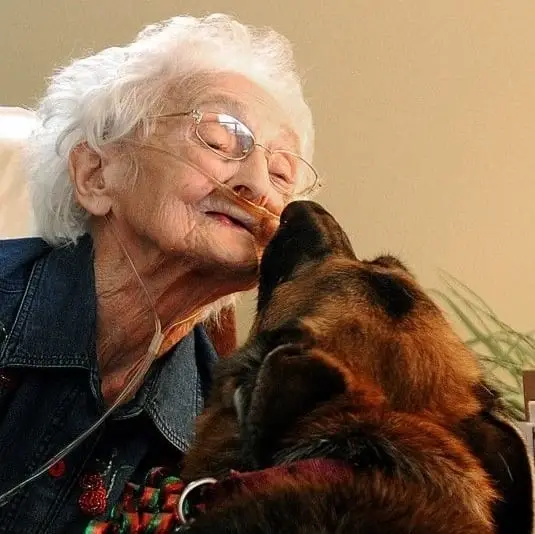 Pet therapy volunteers needed