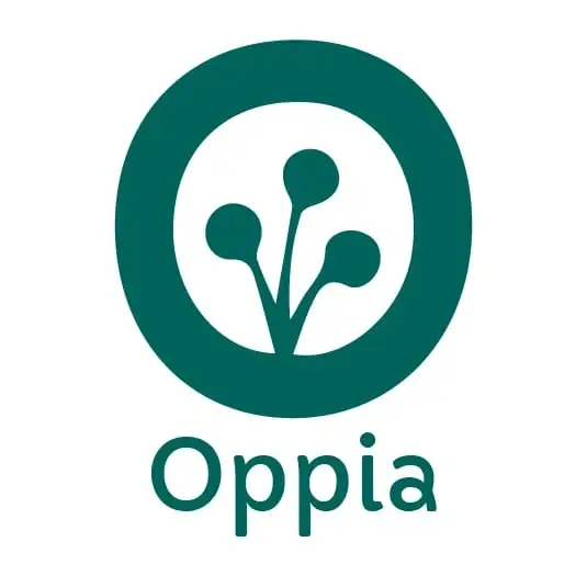 English to Arabic translators for basic maths lessons like addition, multiplication etc.