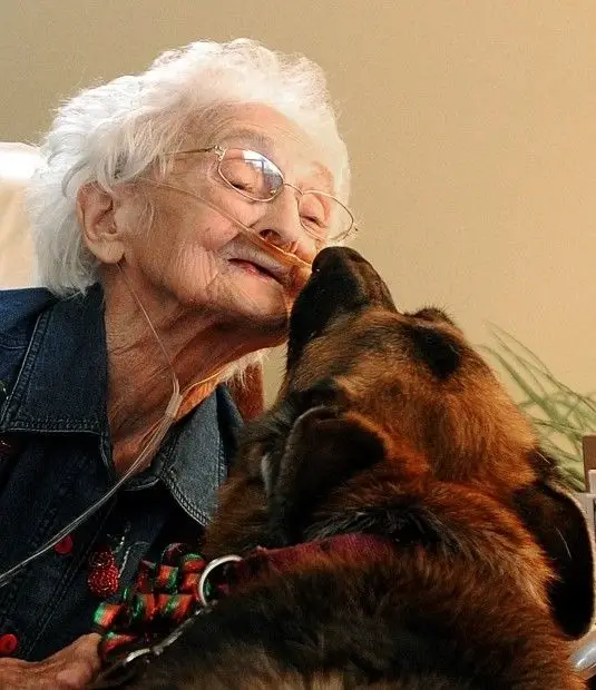 Volunteer with Your Dog and Provide Comfort to a Hospice Patient