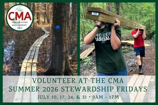 Summer 2026 Stewardship Fridays