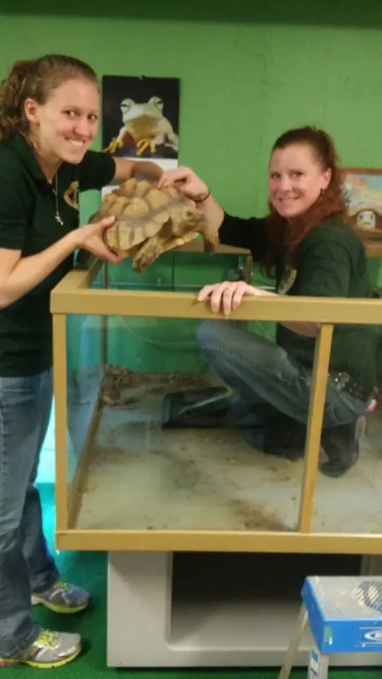 Help provide basic reptile care