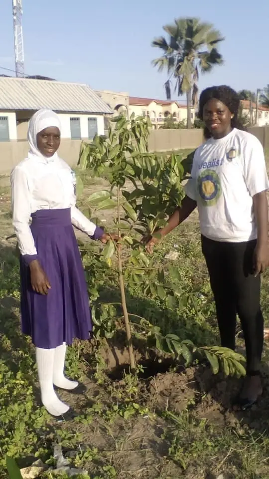 Plantación de árboles en Gambia