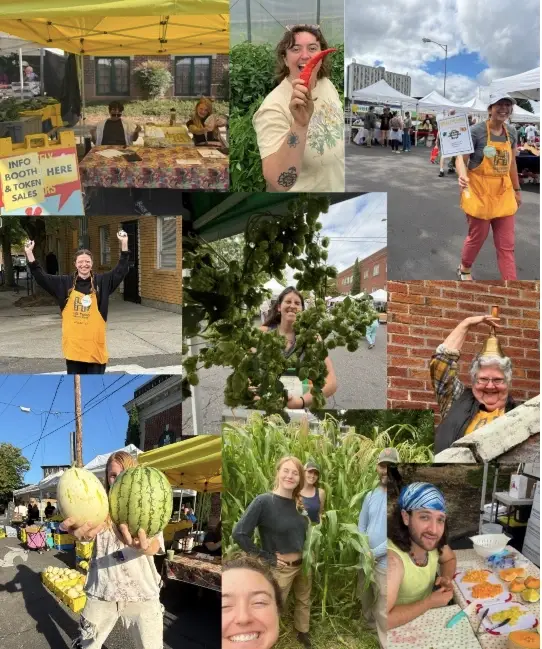 Volunteer at Hollywood Farmers Market!