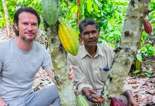 recogiendo cacao