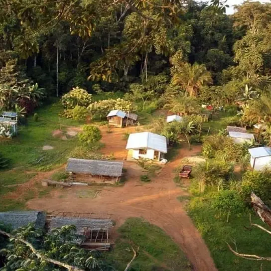 Volunteer at Chimpanzee Sanctuary, Africa
