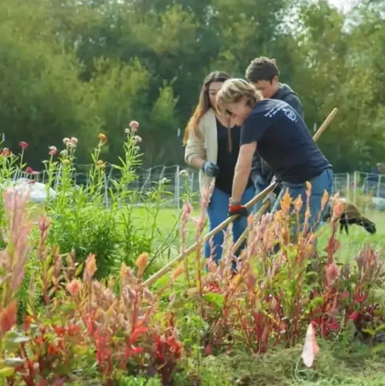 Volunteer at our Local Community Farm!
