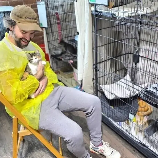 Cuddle and care for our kitties!