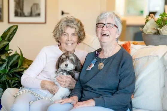 🐾 Volunteer Opportunity: Pet Therapy Visits