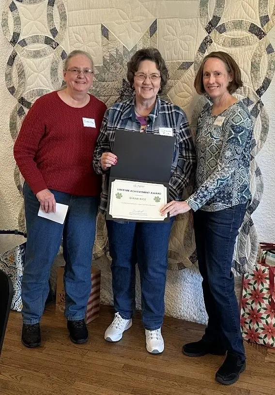 Rewards & Recognition Lead