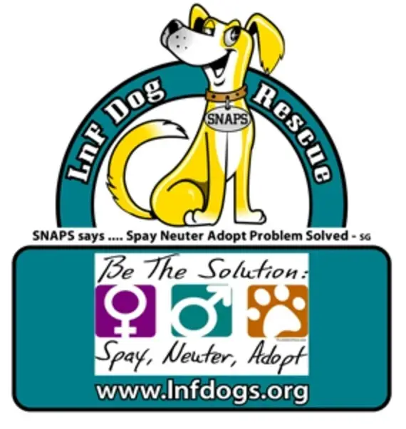 Casual Help for Foster-Based Dog Rescue in New Castle DE