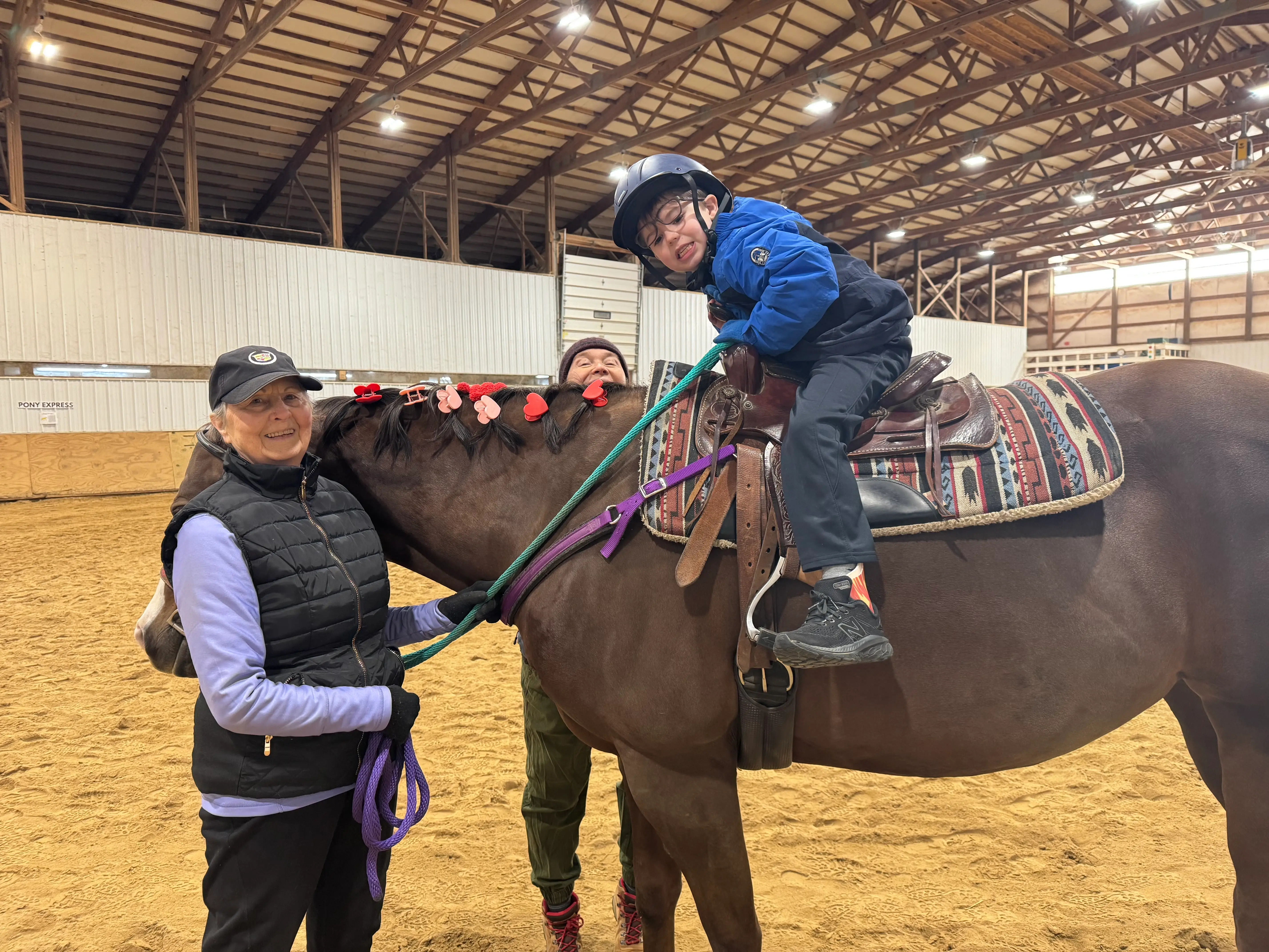 Equine Therapy - New Volunteer Training