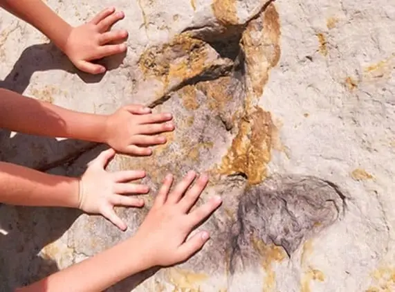 Preschool Program Volunteer at Dinosaur Ridge