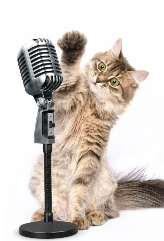 Cat Herder (Event Coordinator)