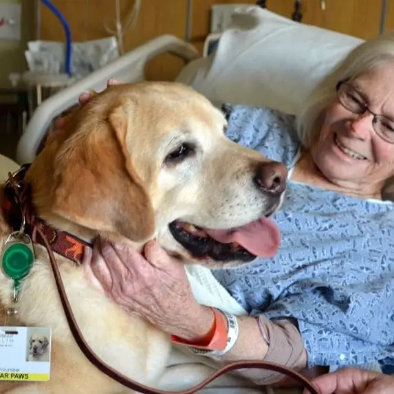 Miracle City Hospice-Pet Therapy