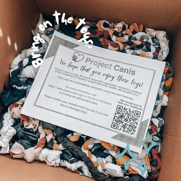 Ecofriendly way to help shelter pets!