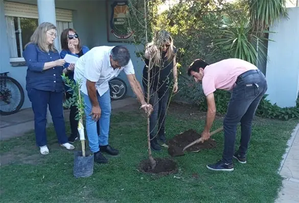 Un grupo de personas planta un árbol