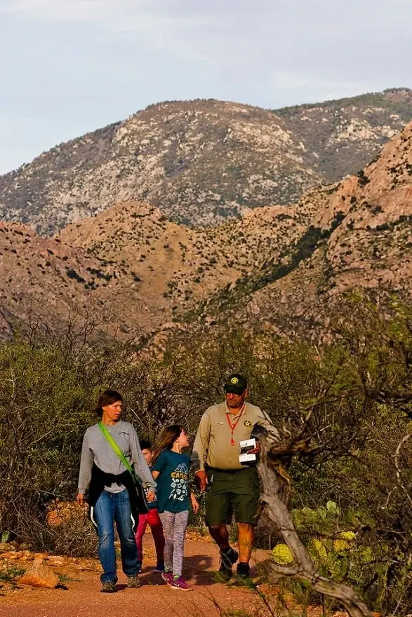 Video Editor/Creator - nature/animal videos