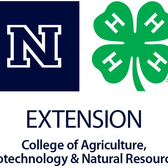 4-H Volunteers Needed in Clark County (Positive Youth Development)