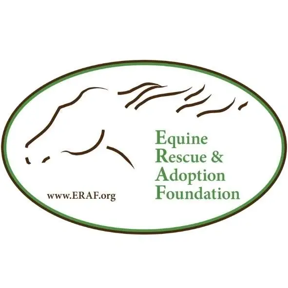 Horse Rescue -Donor Development Team Volunteers