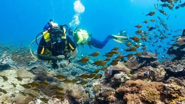 Marine Conservation Program in Coastal-Mombasa-Kenya