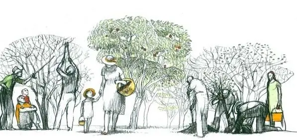 Get Involved with the Orchard