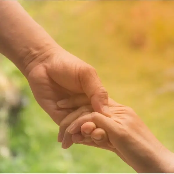 Seeking Hospice Volunteers for Companionship