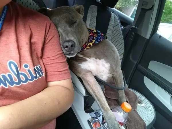 Volunteer Coordinator