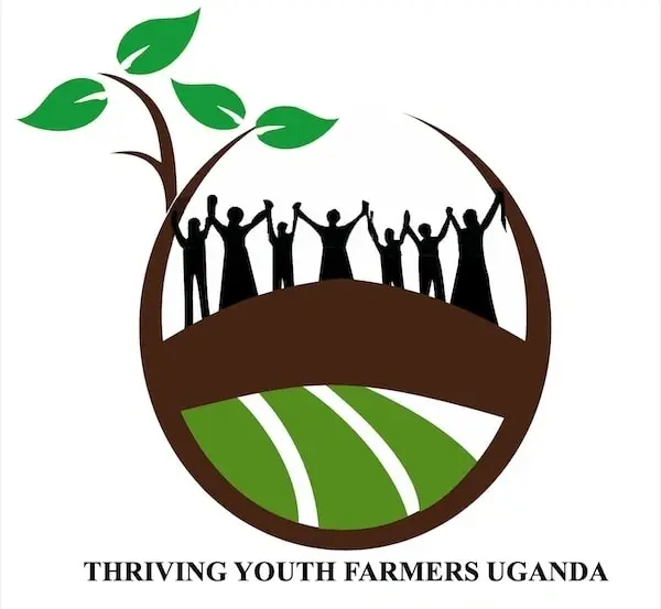 Communications Volunteer